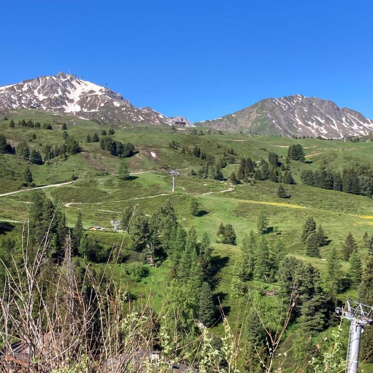 Appartement à Belle Plagne au pied des pistes - Appartamento con 1 Camera da Letto - 15