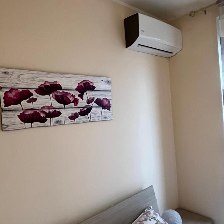 BOOMERANG apartment & 2 free bikes - Appartamento con 1 Camera da Letto - 22