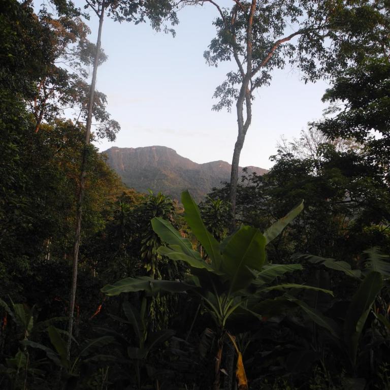Mogambo Ecolodge - Chalet de 2 dormitorios - 12