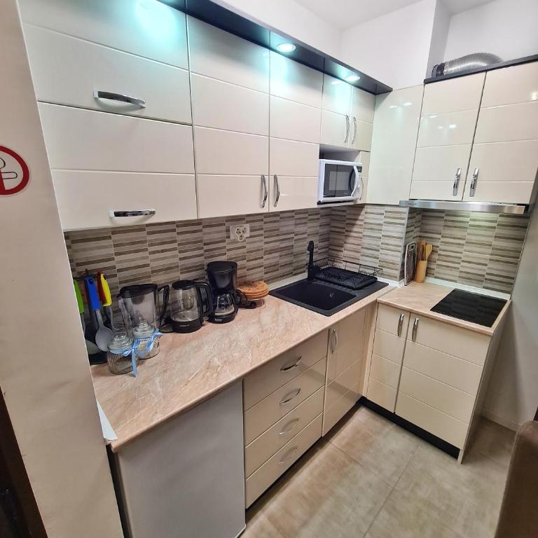 Apartman Damjan Sokobanja - Apartman sa 1 Spavaćom Sobom - 13