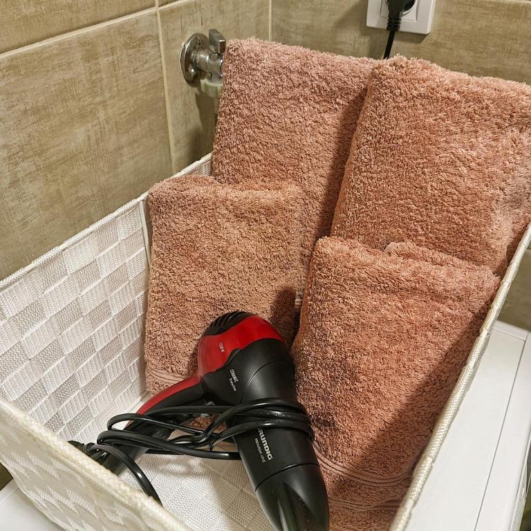 Apartman Damjan Sokobanja - Apartman sa 1 Spavaćom Sobom - 27