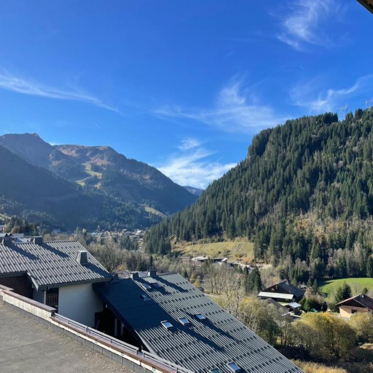 Charmant Studio proche du centre de Châtel - Apartment mit 1 Schlafzimmer - 2