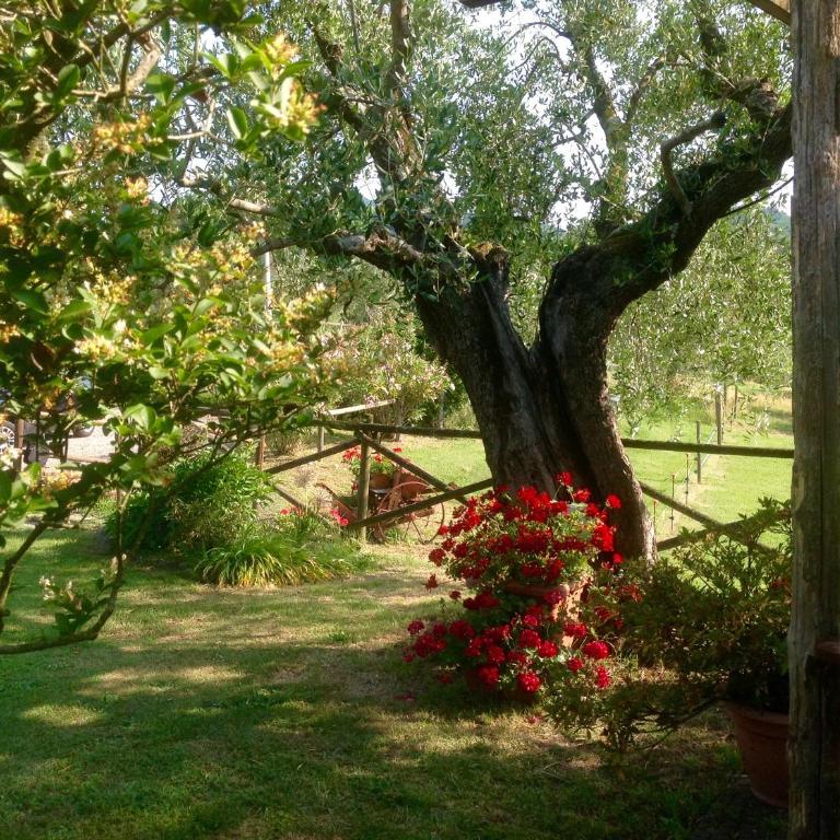 Il Pasco - Casa con 1 Camera da Letto - 9