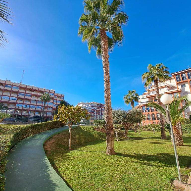 Brillante Apartamento en La Mata - Apartamento de 1 dormitorio - 11
