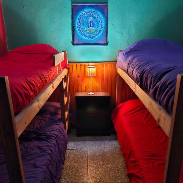 El Caminante Hostel - Cama individual en habitación compartida - 5