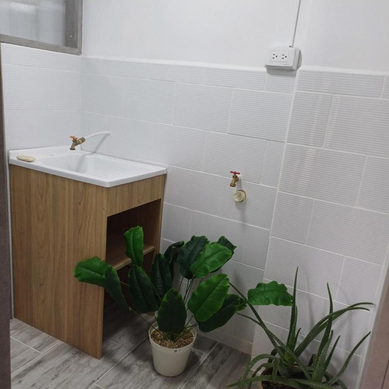 Apartamento cafetero centro - Apartamento de 2 dormitorios - 3
