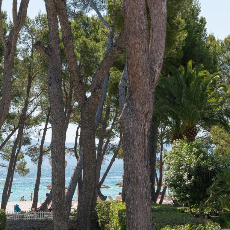 Assimetric, a solo 50 metros de la playa - Apartamento de 3 dormitorios con vistas al mar - 30