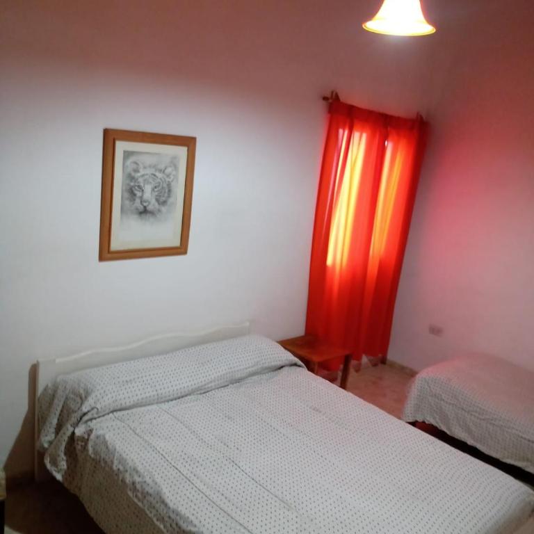 Casas de Carlos en San Rafael Complejo coronel campos - Apartamento - Planta baja - 7