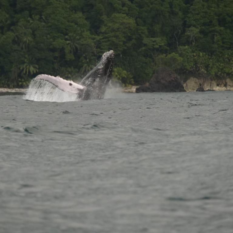 Pal Mar - Double Room - 14