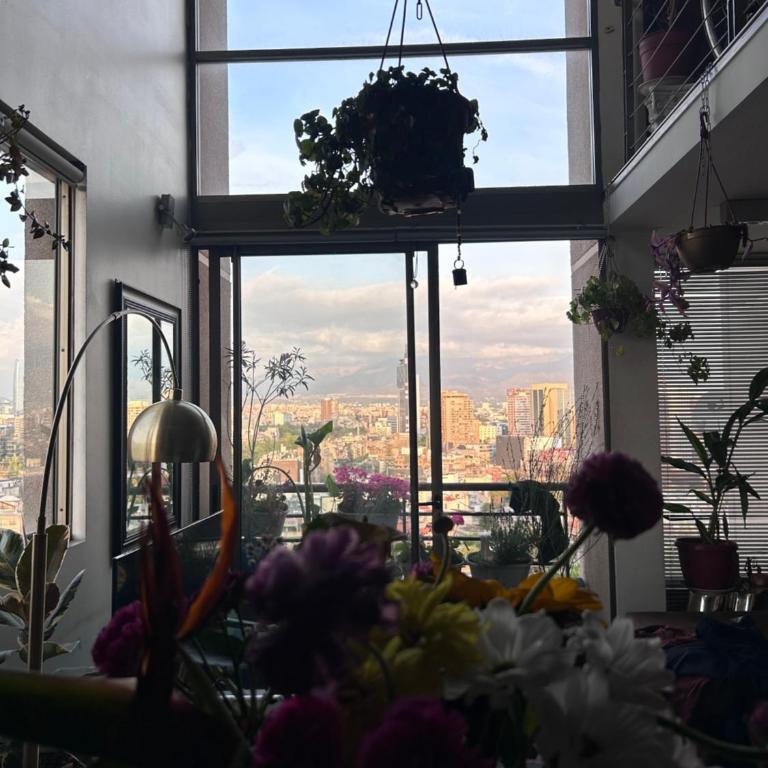 Espectacular Loft en Bellas artes con vista a la cordillera - Apartamento de 1 dormitorio - 4