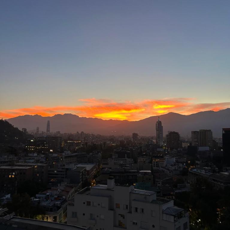 Espectacular Loft en Bellas artes con vista a la cordillera - Apartamento de 1 dormitorio - 8