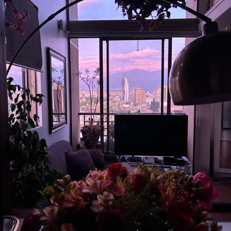 Espectacular Loft en Bellas artes con vista a la cordillera - One-Bedroom Apartment - 11