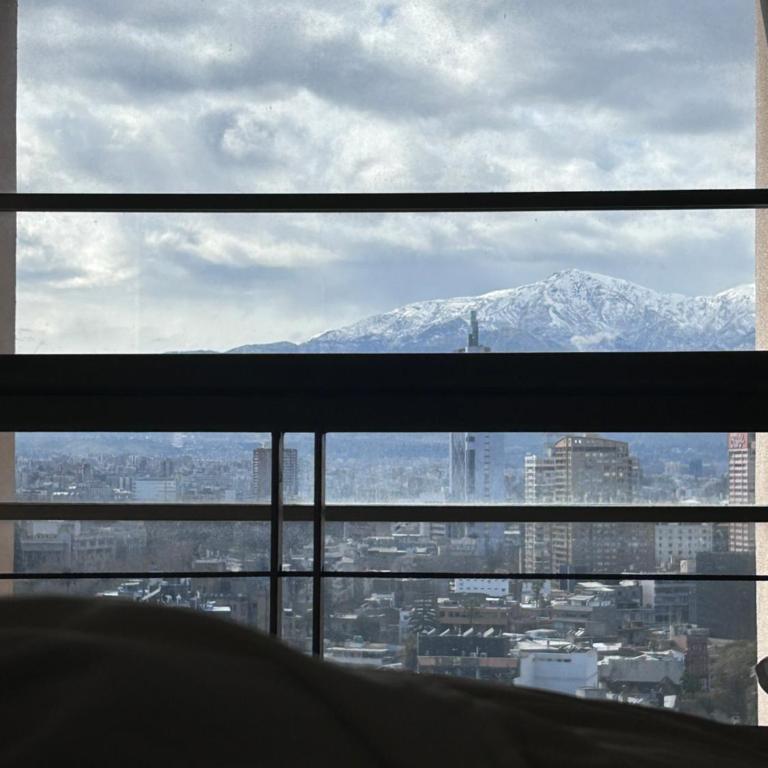 Espectacular Loft en Bellas artes con vista a la cordillera - Apartamento de 1 dormitorio - 15