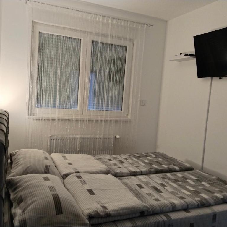 Apartman Sofia - Apartman sa 1 Spavaćom Sobom - 16