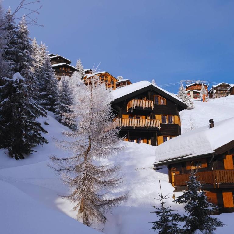 Chratidudel - Ski-in , Ski-out - Ferienhaus - 36