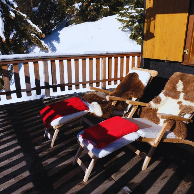 Chratidudel - Ski-in , Ski-out - Ferienhaus - 44