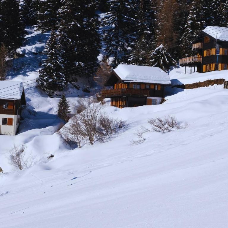 Chratidudel - Ski-in , Ski-out - Ferienhaus - 47