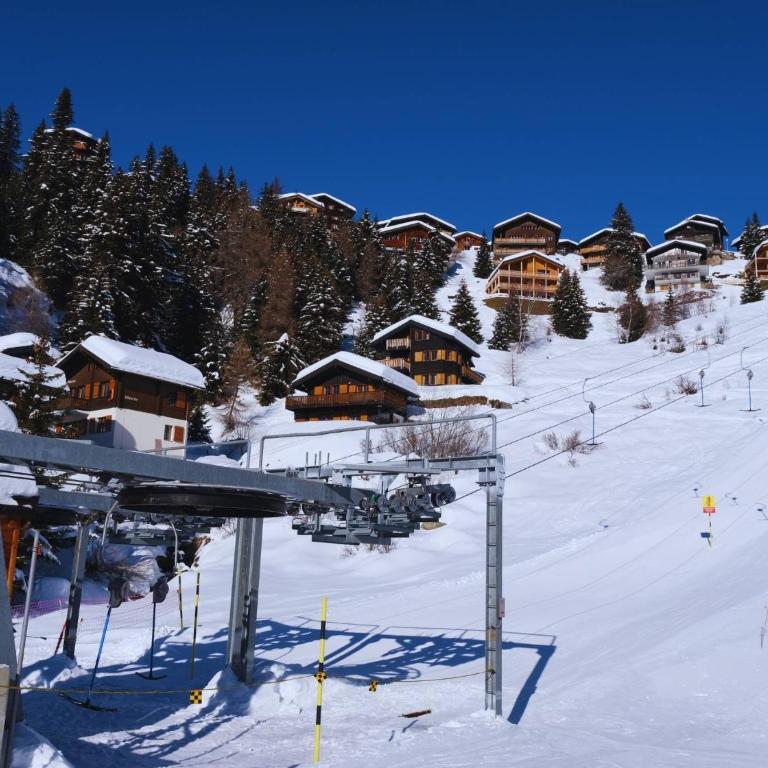 Chratidudel - Ski-in , Ski-out - Ferienhaus - 49