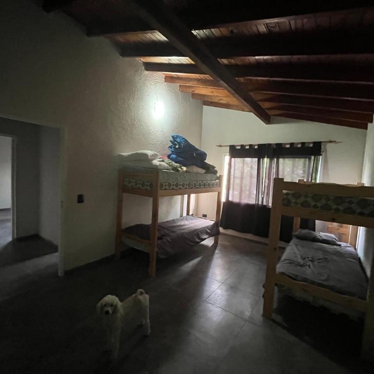 Casa en Santa Teresita cochera parque parrilla - Casa con 1 dormitorio - 5