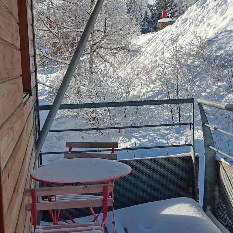 Les Arolles E23, classé 3 étoiles à Chamrousse 1700 - One-Bedroom Apartment - 14