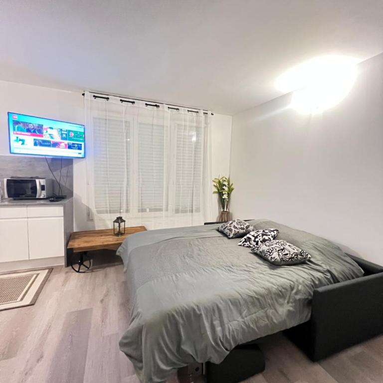 Cosy home stade de France CDG airport - Studio with Sofa Bed - 9