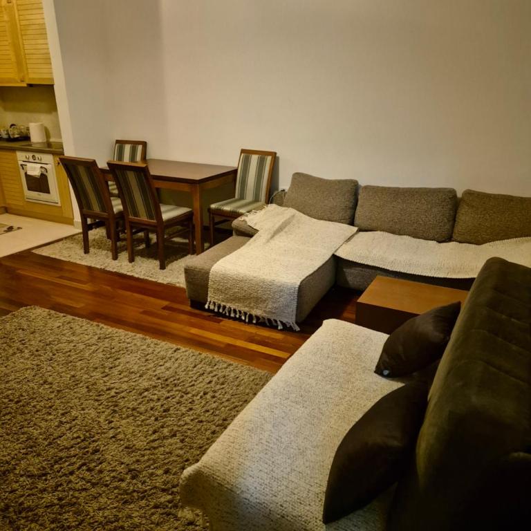 Infinity Durmitor - One-Bedroom Apartment - 13