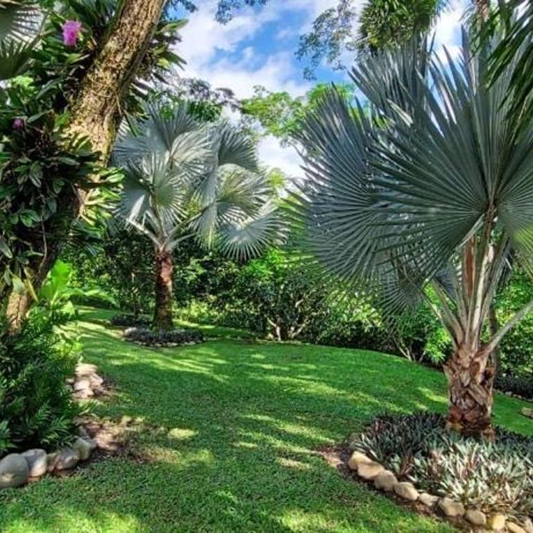 Alojamiento Casa en Anapoima - Casa - 27