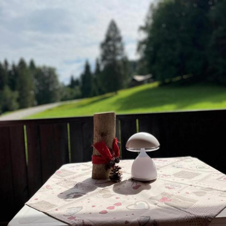 Ski-Garden - Appartamento con doccia - 20