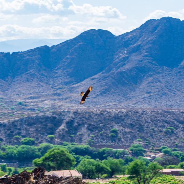 La Posada de Cloe - Casa de 2 dormitorios - 67