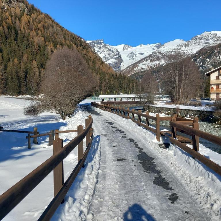 Chez Umbus, centrale e immerso nel verde, grande terrazzo - Two-Bedroom Apartment - 72