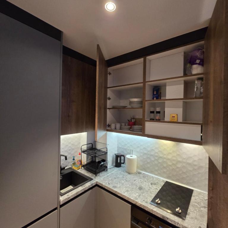 Mountain bliss - One-Bedroom Apartment - 7