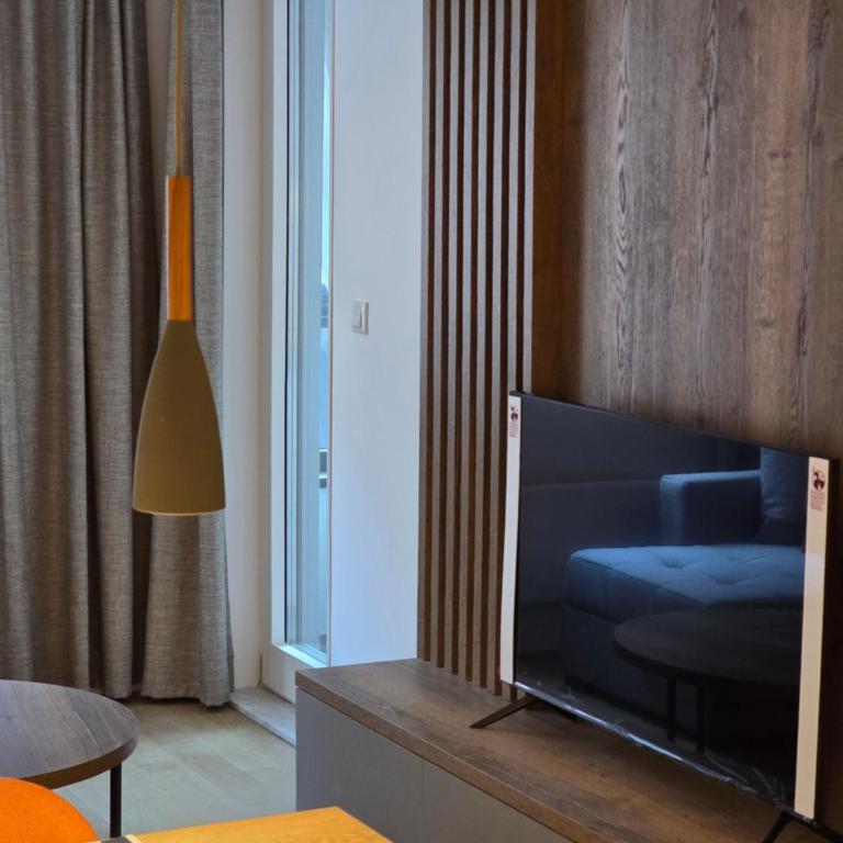 Mountain bliss - One-Bedroom Apartment - 21