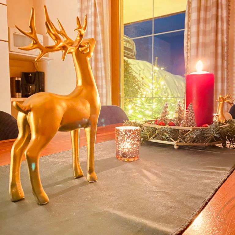 Zillertal Ferienhaus Rohrberg Panoramablick mit Garten und Sauna - Apartment mit 3 Schlafzimmern und Bergblick - 21