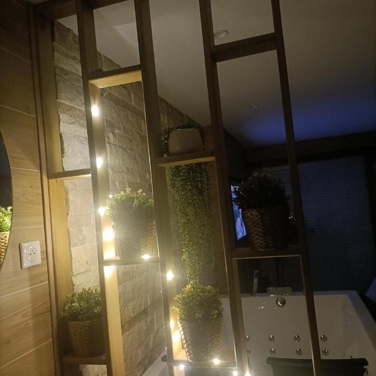 L'Eden Cocon - Appartement 1 Chambre - 27