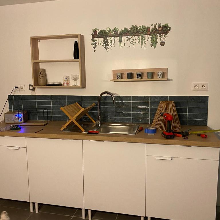 La maison de Noel et ses lutins - Maison 1 Chambre - 2