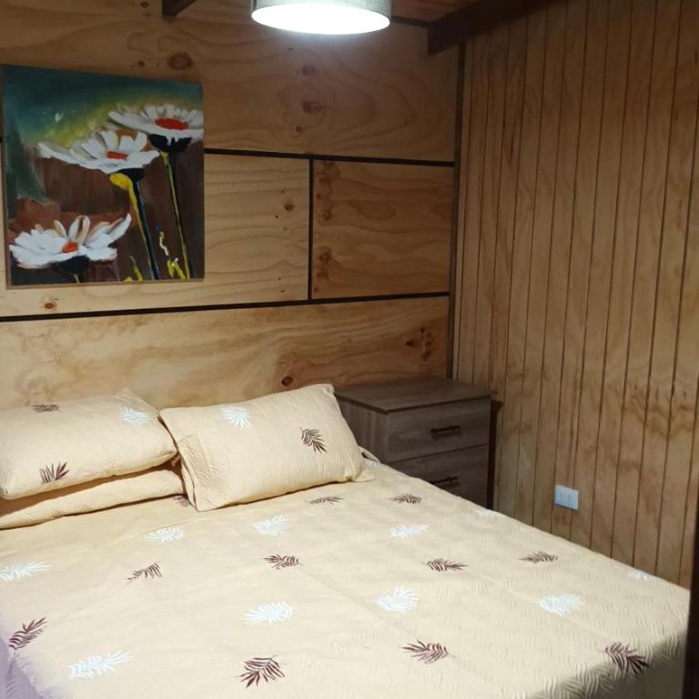 Cabañas Chemamull - Chalet de 2 dormitorios - 10
