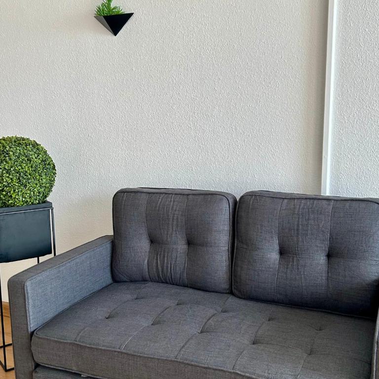 Studio confortable avec vue mer, animaux acceptés - FR-1-652-48 - Estudio - 4