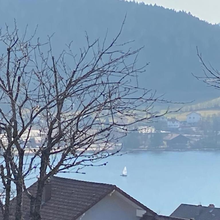 Gîte spacieux à Gérardmer avec vue sur lac, 3 chambres, Wi-Fi et parking - FR-1-589-761 - Appartement - 24