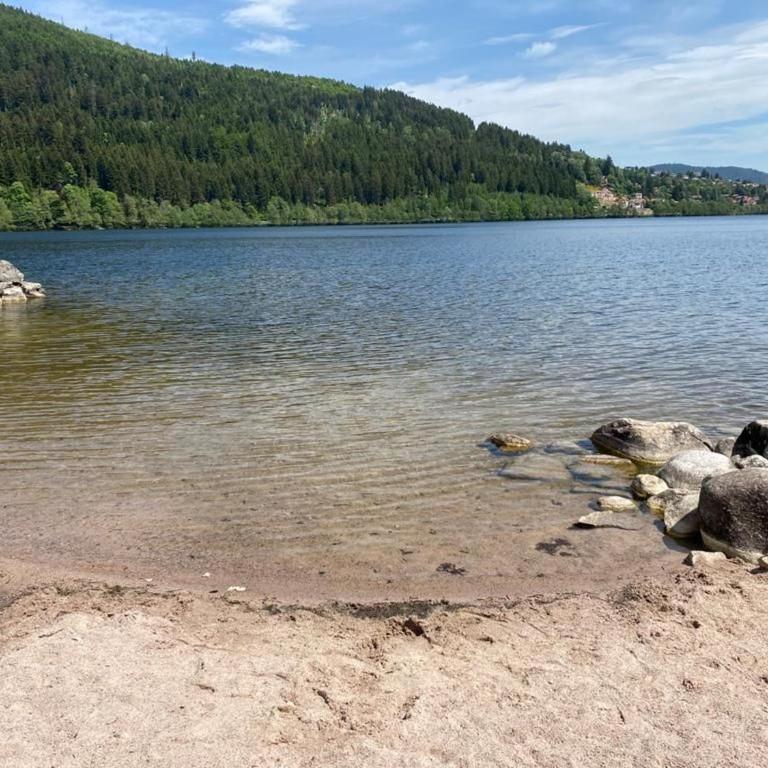 Gîte spacieux à Gérardmer avec vue sur lac, 3 chambres, Wi-Fi et parking - FR-1-589-761 - Appartement - 28
