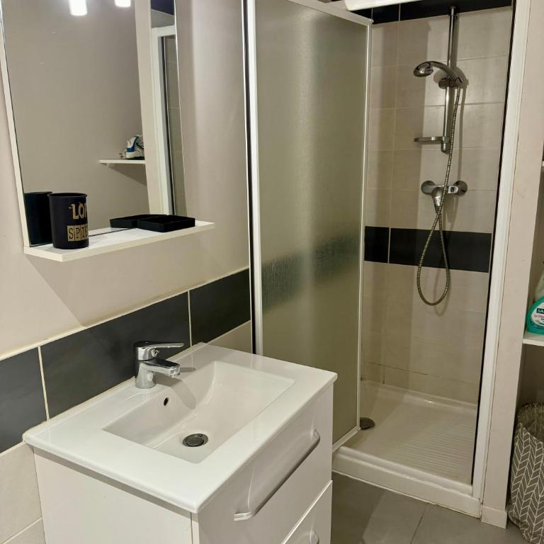 Magnolia, Studio centre ville de Montauban - Appartement 1 Chambre - 13