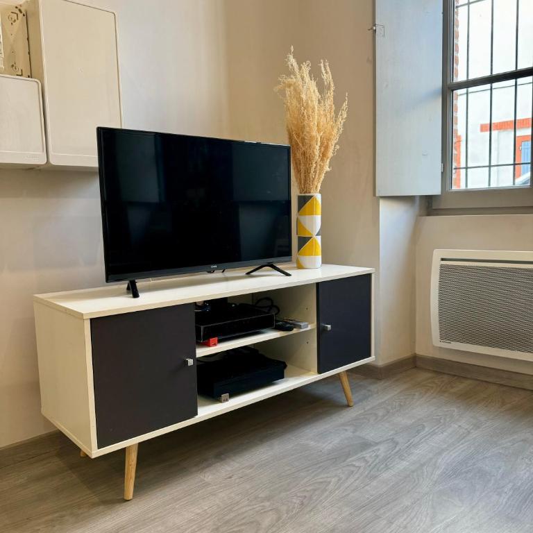 Magnolia, Studio centre ville de Montauban - Appartement 1 Chambre - 7