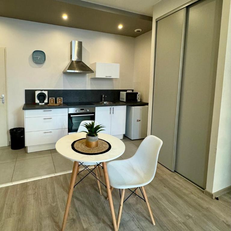 Magnolia, Studio centre ville de Montauban - Appartement 1 Chambre - 10