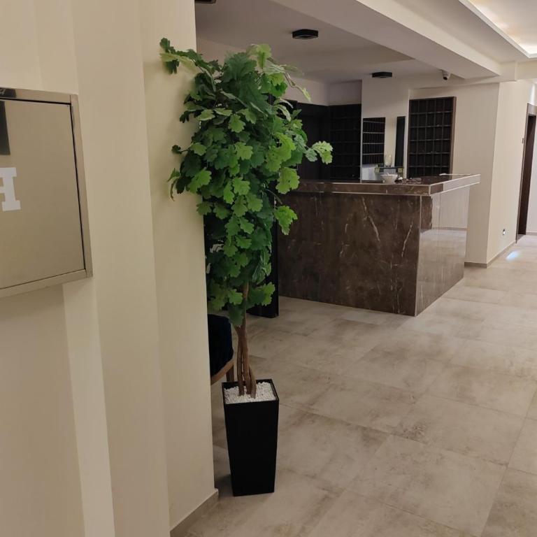 Zlater701 - Apartman sa 1 Spavaćom Sobom - 20