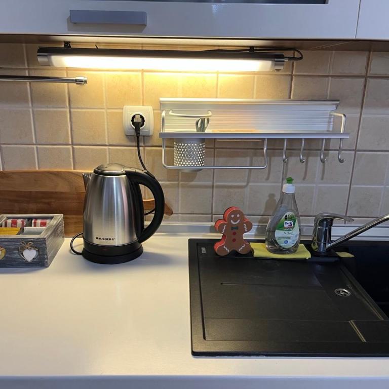 Apartman KIKA - Apartman sa 1 Spavaćom Sobom - 9