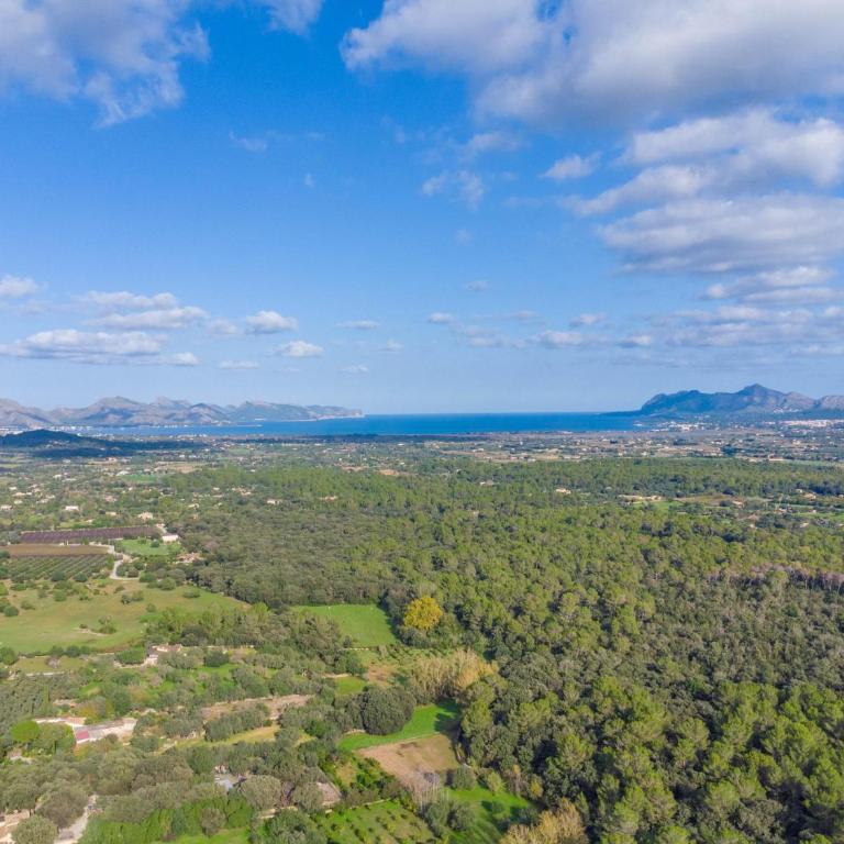Reynes - Villa de 3 dormitorios - 51