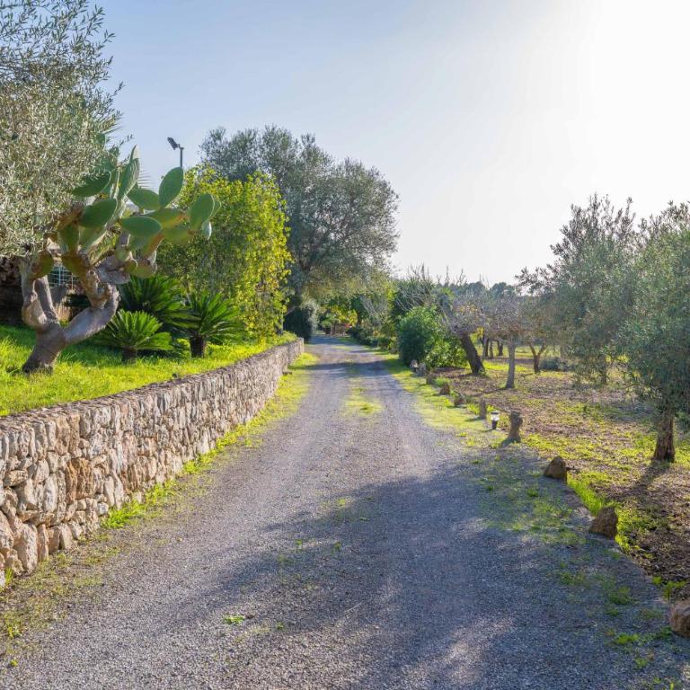 Reynes - Villa de 3 dormitorios - 50