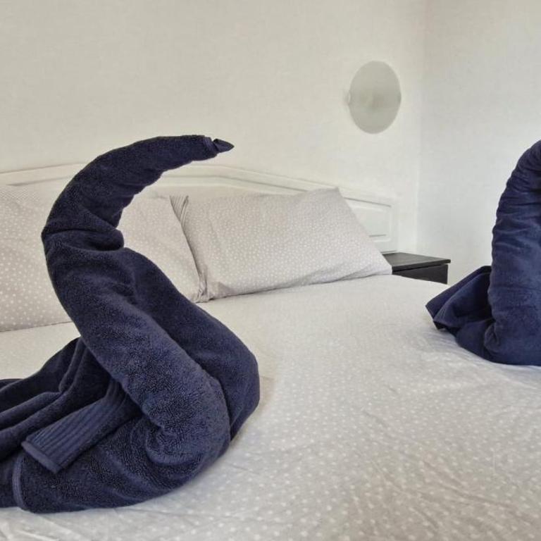 Casa surf Oasis - One-Bedroom Apartment - 19