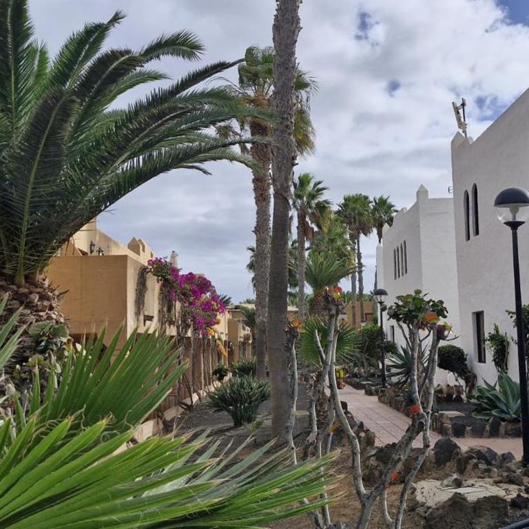 Casa surf Oasis - One-Bedroom Apartment - 27