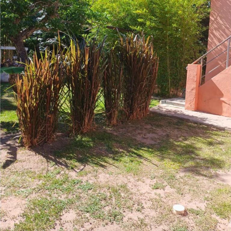 Hospedaje Los quebrachos - Estudio Estándar - 26