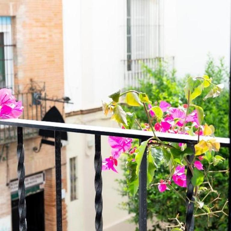 Tourist House Vidrio - Three-Bedroom Apartment - 34